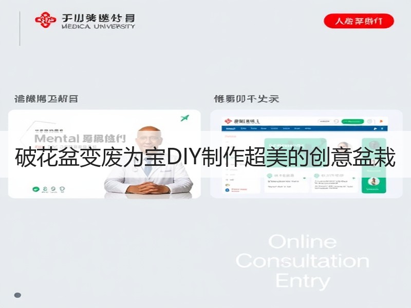 破花盆变废为宝DIY制作超美的创意盆栽