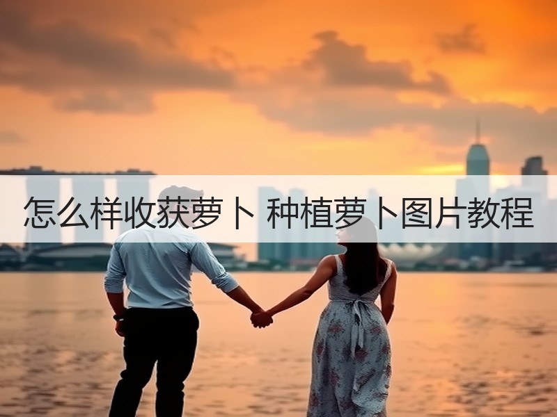 怎么样收获萝卜 种植萝卜图片教程