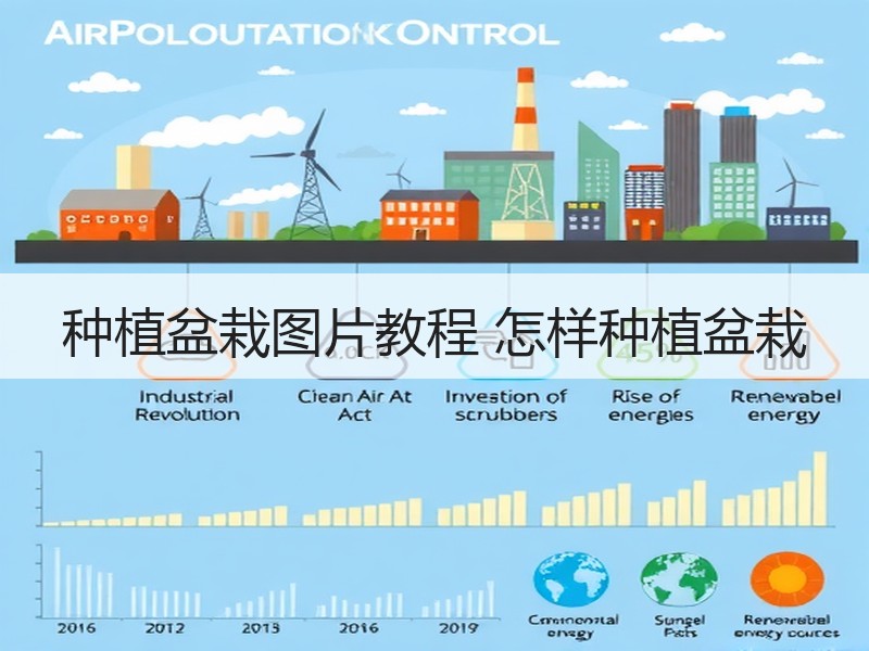 种植盆栽图片教程 怎样种植盆栽