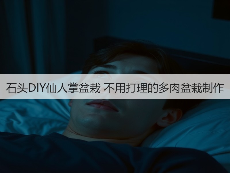 石头DIY仙人掌盆栽 不用打理的多肉盆栽制作