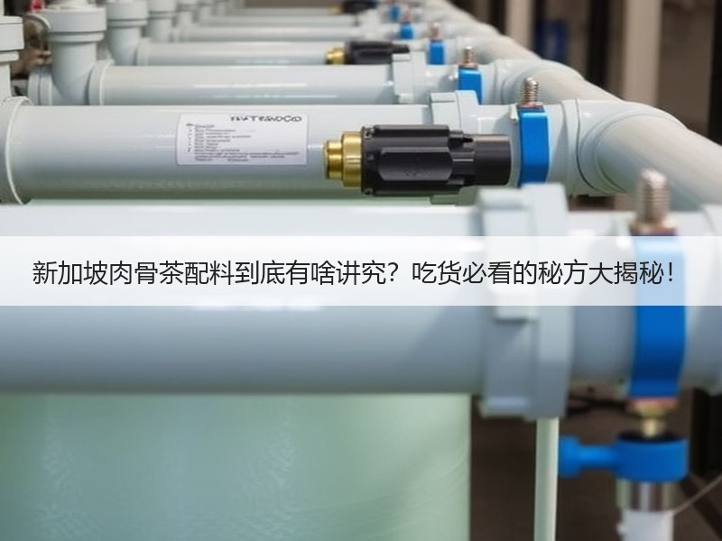 新加坡肉骨茶配料到底有啥讲究？吃货必看的秘方大揭秘！
