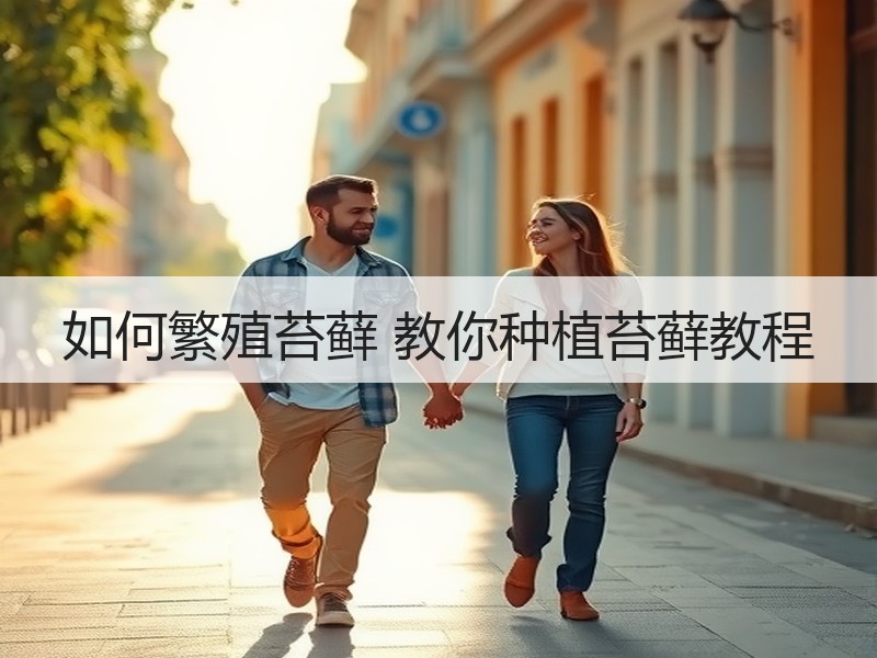 如何繁殖苔藓 教你种植苔藓教程