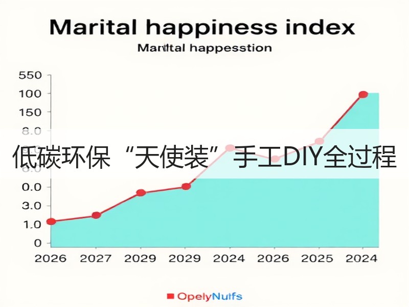 低碳环保“天使装”手工DIY全过程
