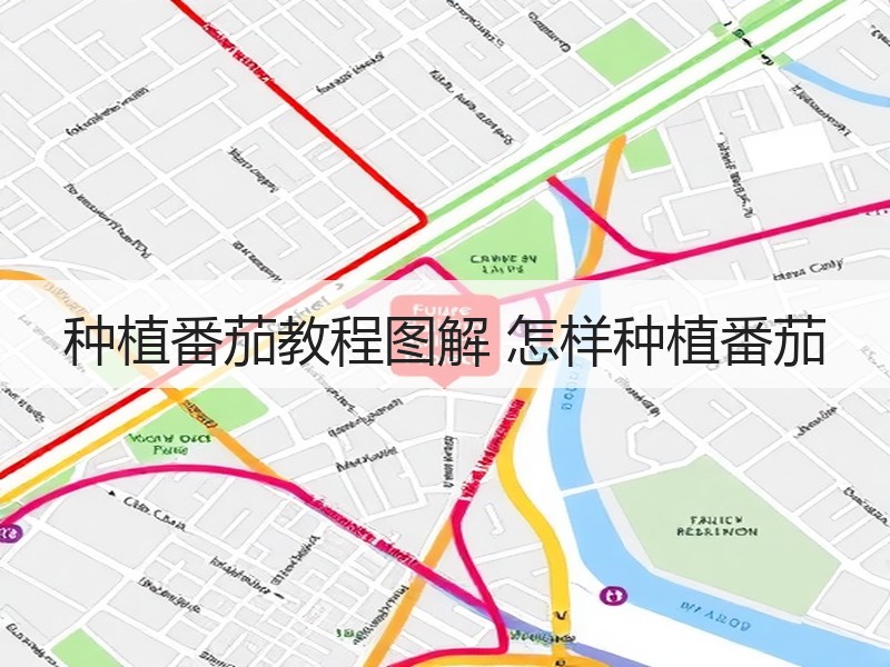 种植番茄教程图解 怎样种植番茄