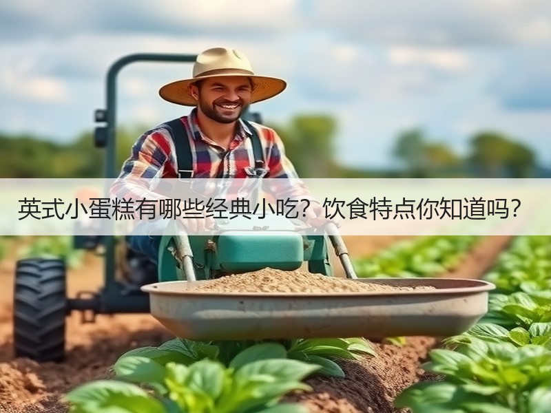 英式小蛋糕有哪些经典小吃？饮食特点你知道吗？