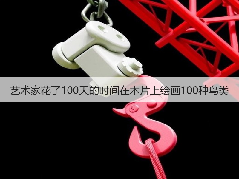 艺术家花了100天的时间在木片上绘画100种鸟类