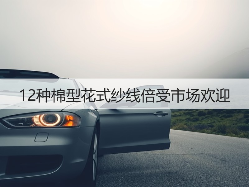 12种棉型花式纱线倍受市场欢迎